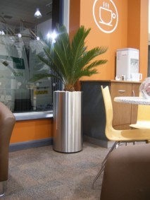 modern stainless steel cylinder with cycas palm